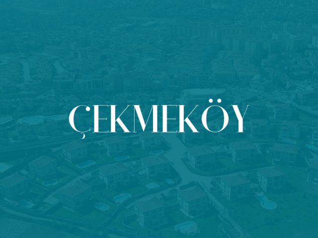 Çekmeköy koltuk