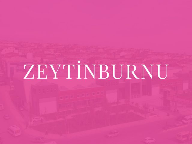 Zeytinburnu İstanbul
